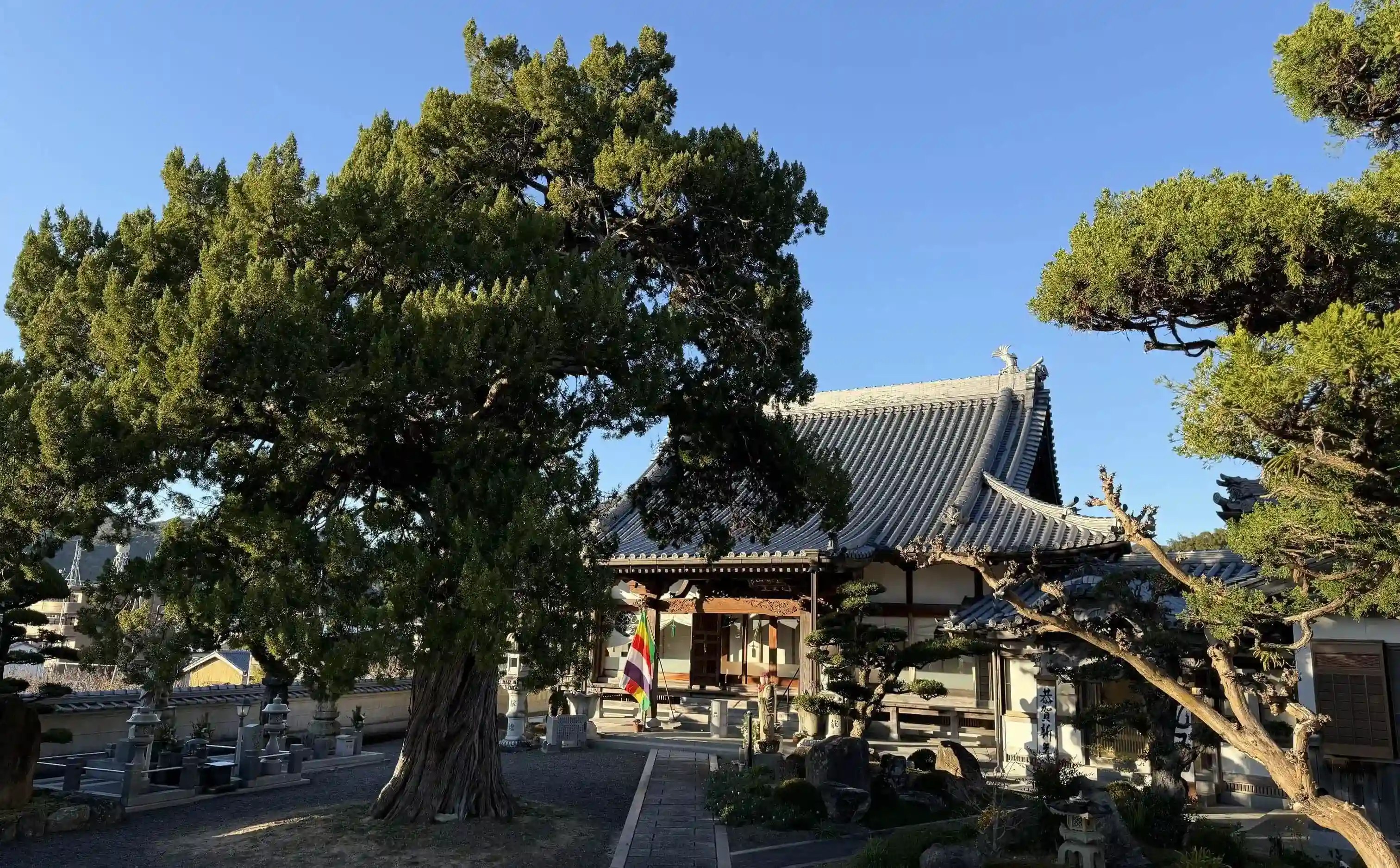 来迎寺の外観写真